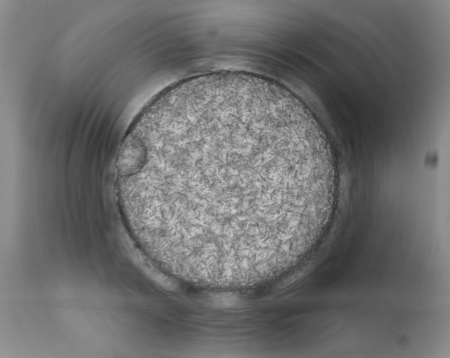 X0000113200798200910221038