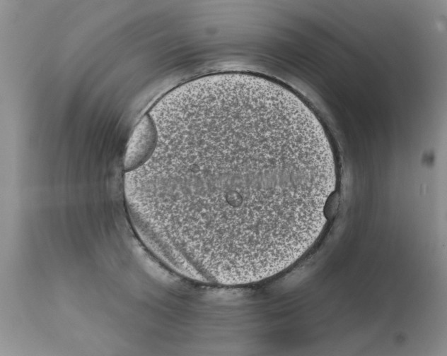 X0000113200801200910221038