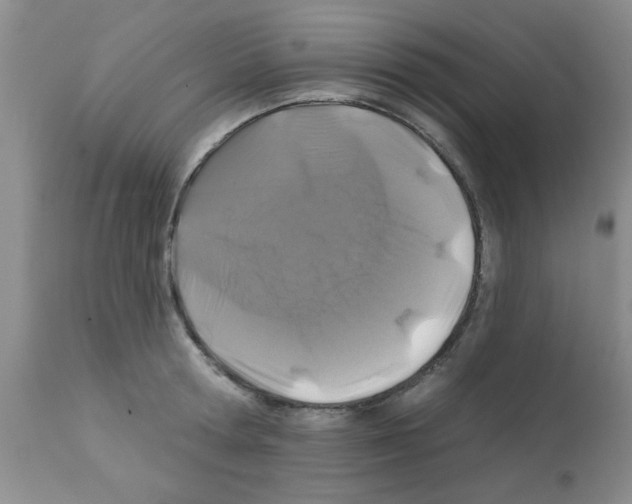 X0000113200802200910221038