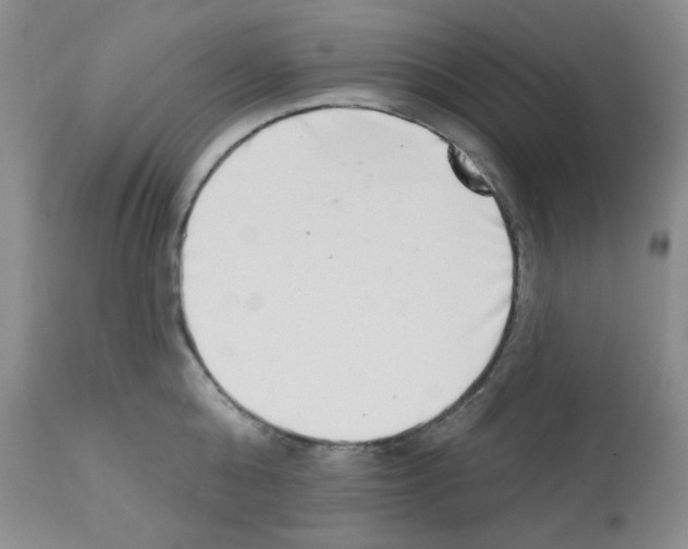X0000113200808200910221038