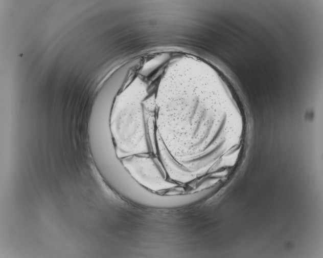 X0000113200809200910221038