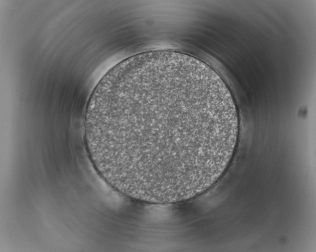 X0000113200810200910221038
