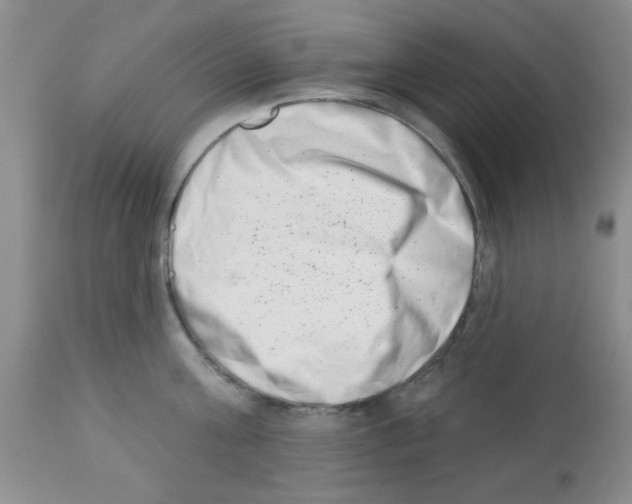 X0000113200811200910221038