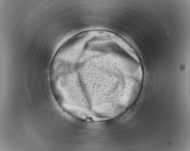X0000113200813200910221038