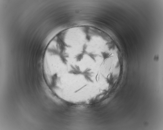 X0000113200814200910221038