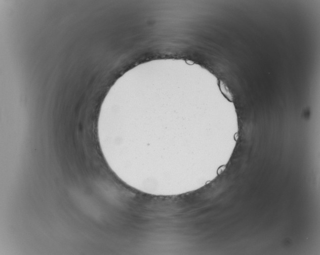 X0000113200817200910221038
