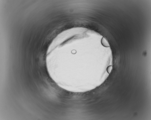 X0000113200819200910221038