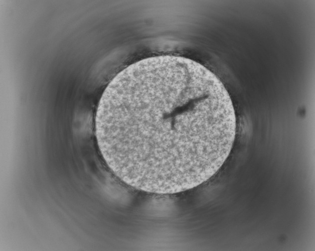X0000113200820200910221038