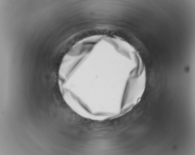 X0000113200821200910221038