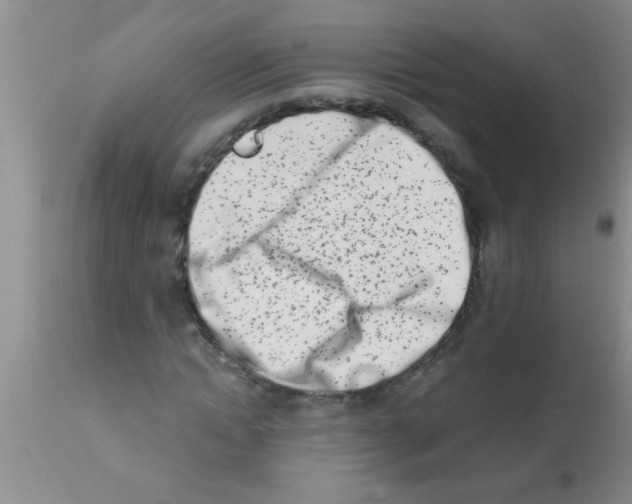 X0000113200822200910221038