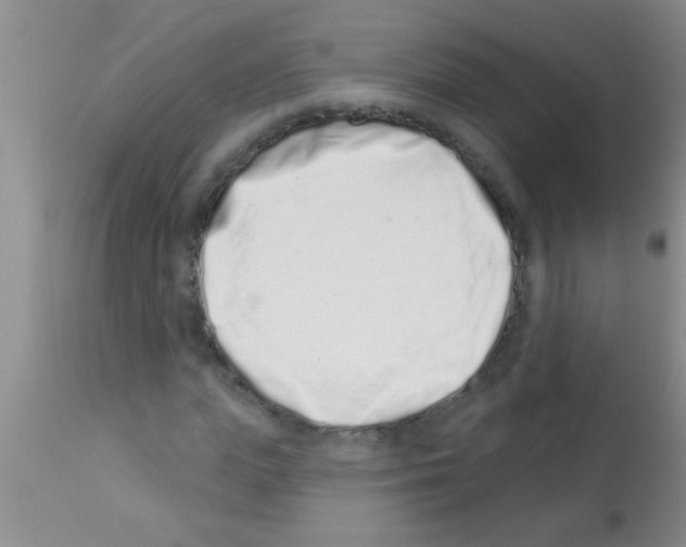 X0000113200823200910221038