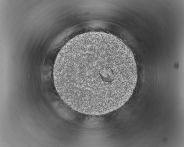 X0000113200824200910221038