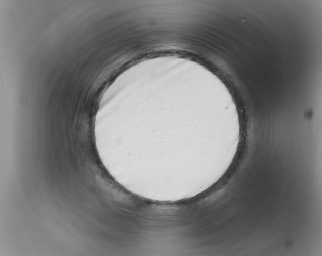 X0000113200825200910221038