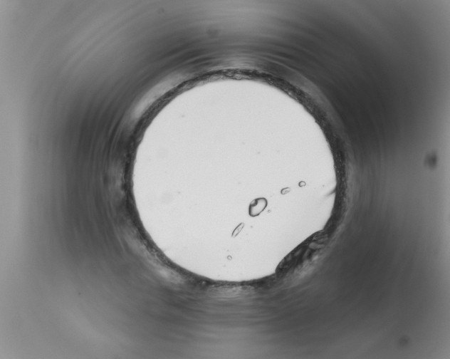 X0000113200826200910221038