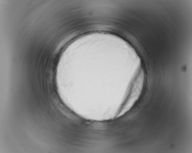 X0000113200827200910221038