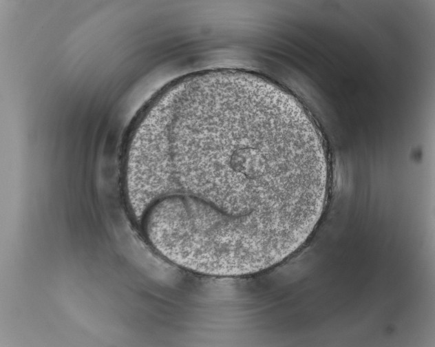 X0000113200828200910221038
