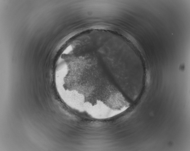 X0000113200829200910221038