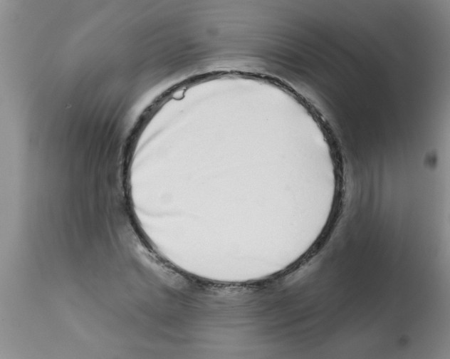 X0000113200830200910221038