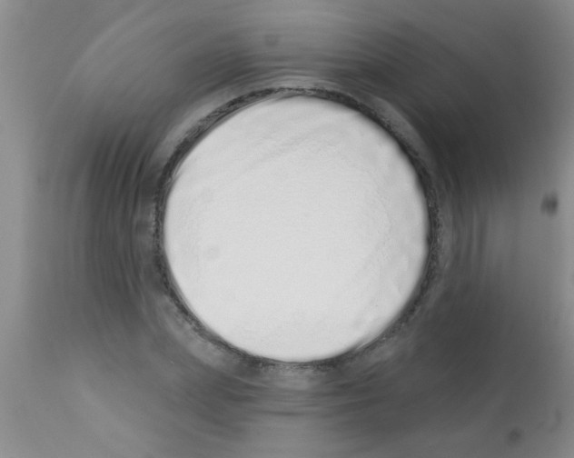 X0000113200831200910221038