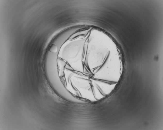 X0000113200832200910221038