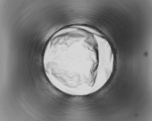 X0000113200834200910221038
