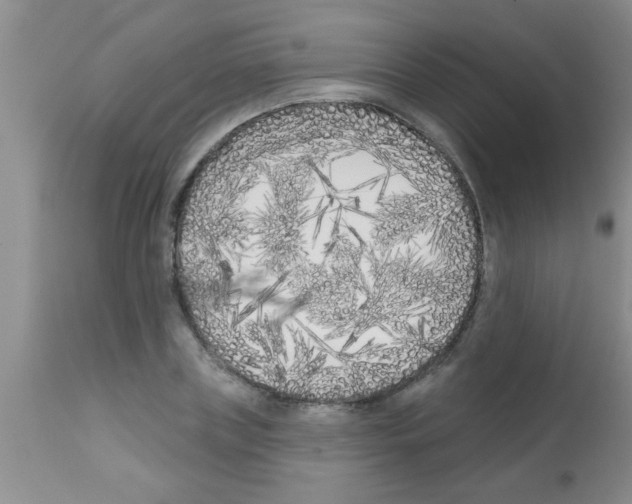 X0000113200835200910221038