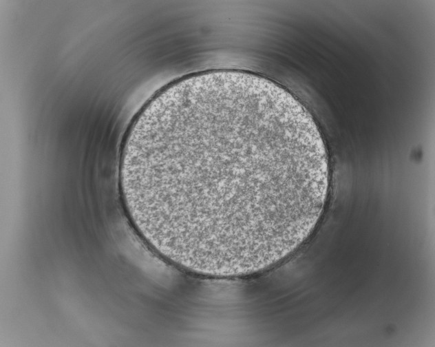 X0000113200836200910221038