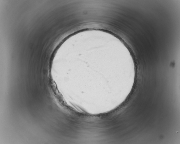 X0000113200837200910221038