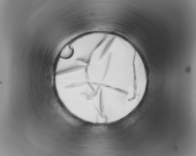 X0000113200838200910221038