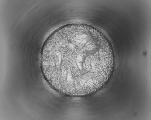 X0000113200839200910221038
