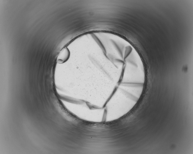 X0000113200842200910221038