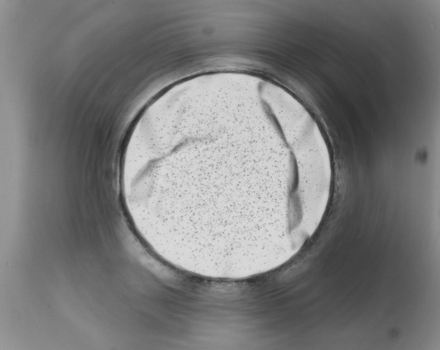 X0000113200843200910221038