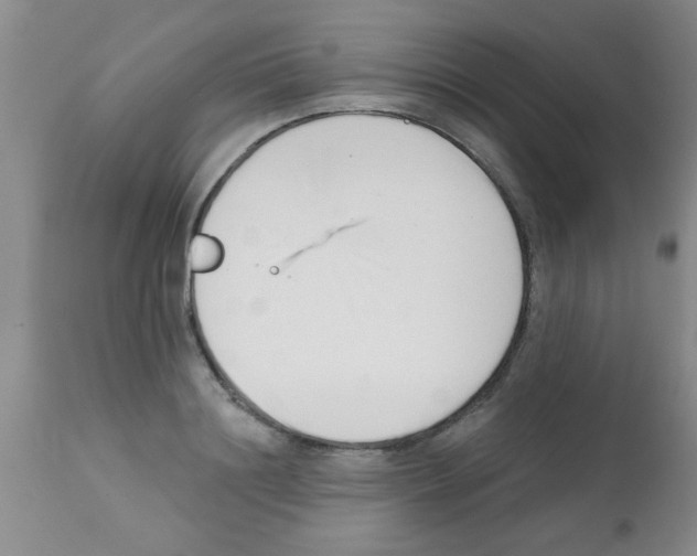 X0000113200844200910221038