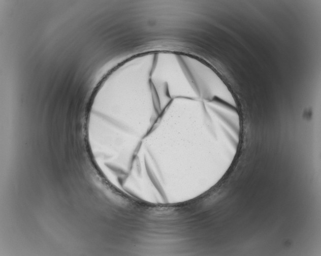 X0000113200846200910221038