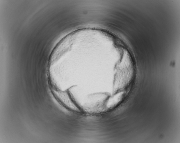 X0000113200847200910221038