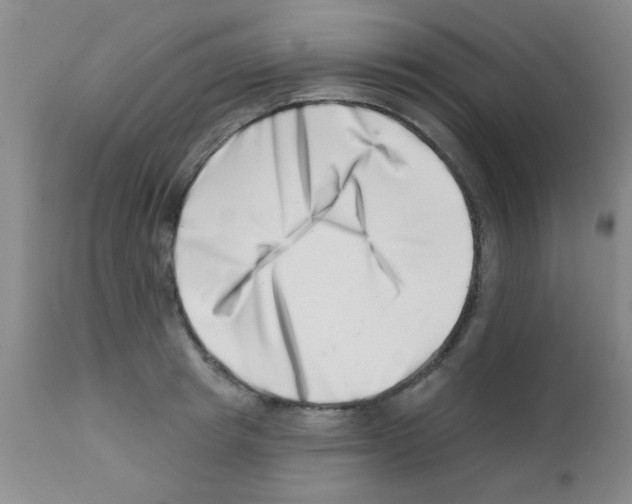 X0000113200849200910221038