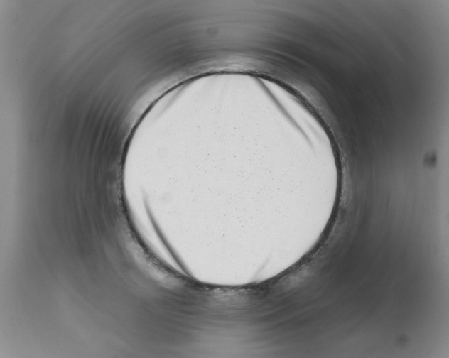 X0000113200850200910221038