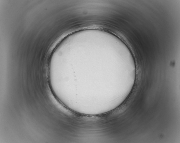 X0000113200851200910221038