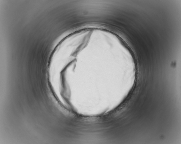 X0000113200853200910221038