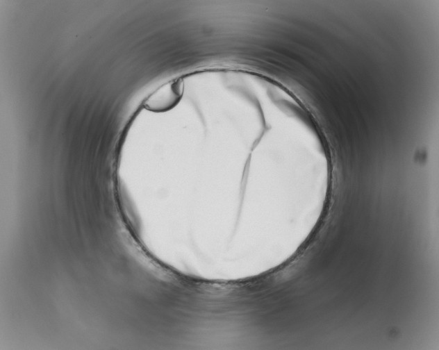 X0000113200854200910221038