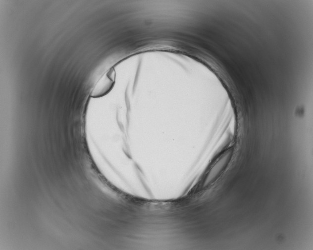 X0000113200858200910221038