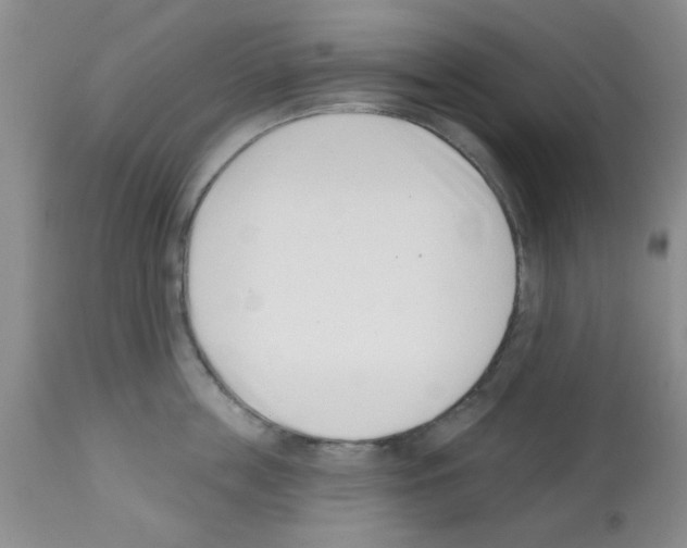 X0000113200859200910221038