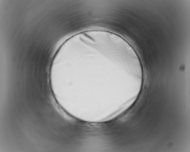 X0000113200862200910221038