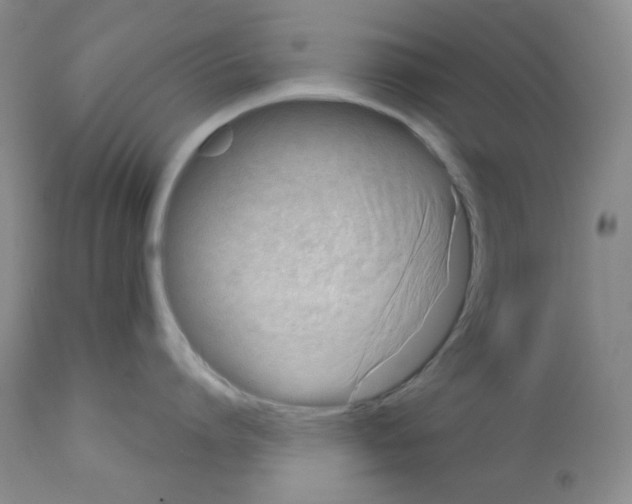 X0000113200864200910221038