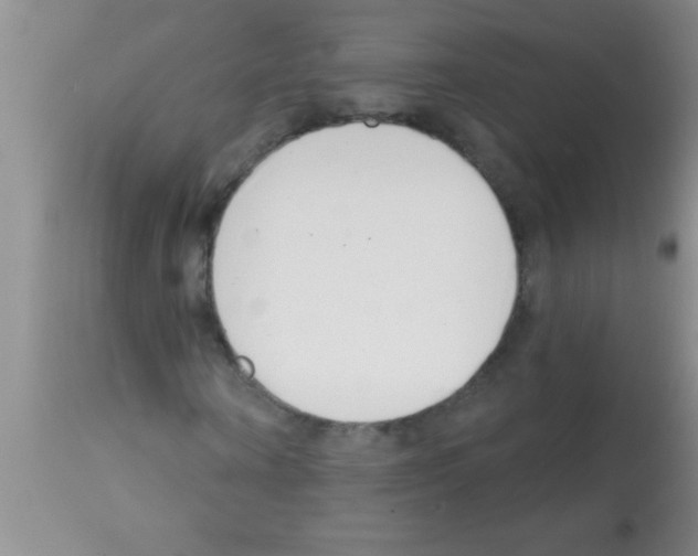 X0000113200866200910221037
