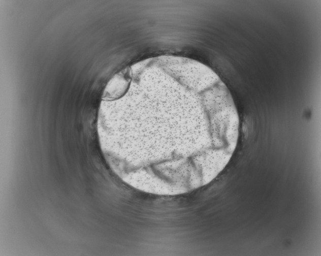 X0000113200867200910221037