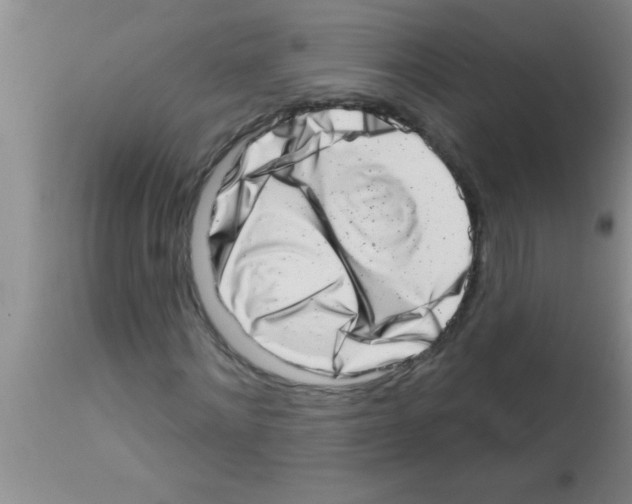 X0000113200868200910221037