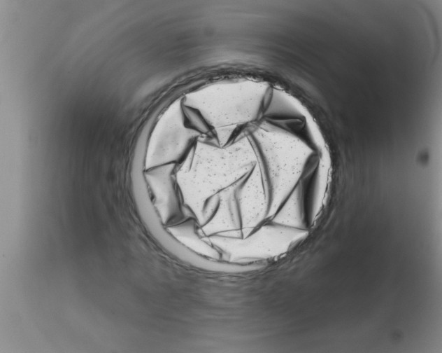 X0000113200869200910221037
