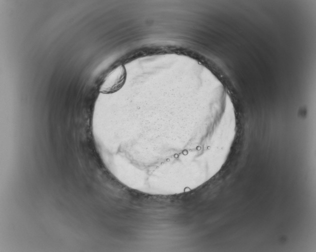 X0000113200871200910221037