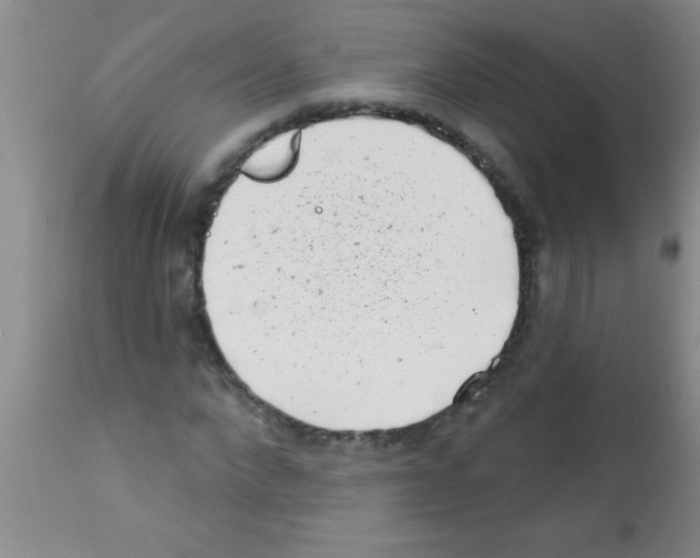 X0000113200872200910221037
